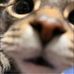 Chris Wanner - Facebook