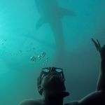 Chris Wareham - @wareham_chris - Instagram