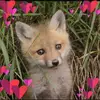 christinewareham9 - @christinewareham9 - TikTok