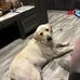 Chris Washington - Facebook