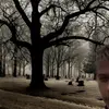 Mr.Wayne - @chris.wayne273 - TikTok