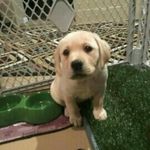 Chris Wehrle - @chris_wehrle - Instagram
