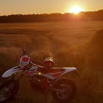 Dennis - @chris.weiseler - Instagram