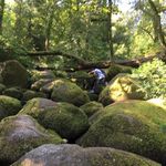 Chris Wellman - @sowhoischris - Instagram