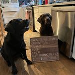 Chris Wellman - @twolabworkshop_ - Instagram