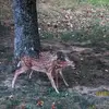 chriswescott84 - @chriswescott84 - TikTok