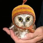 Chris Westin - @opium2k1 - Instagram