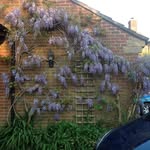 Chris Wheatley - @chriswheatley247 - Instagram