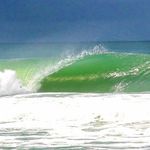 Chris Whittaker - @whits.surfing.family - Instagram