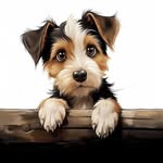 Chris Whittaker - @chris.whittaker.153 - Instagram