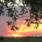Chris Wichman - Facebook