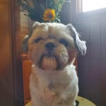 Chris Wickman - @wickmanchris509 - Instagram