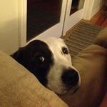 Chris Wickman - @wickmanchris - Instagram
