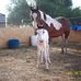 Christine Wickman - Facebook
