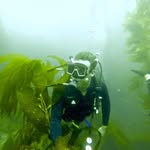 Chris Wiens - @cwienie - Instagram