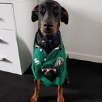 Chris Wigley - @chris.wigley.982 - Instagram
