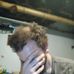 Christopher Wiles - Facebook