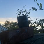 Chris Wilson - @chris.k.wilson - Instagram