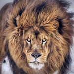 Chris Winchester - @winchester3533 - Instagram