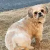 Christie Wiswell - @christie.wiswell - TikTok