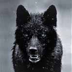 Chris Wolff - Facebook