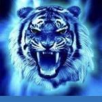 Chris Wolverton - @chriswolf31 - Instagram