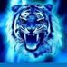 Chris Wolverton - Facebook