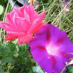 Chris woodruff - @woodruff005 - Instagram