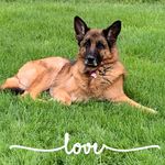 Christina Woolhouse Shepherd - @shepherd1650 - Instagram