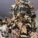 Chris Wootton - @chris.wootton87 - Instagram