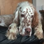 Chris Worm - @ch12345ris - Instagram