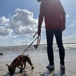 Chris Wulf - @chris_wulfxx - Instagram