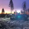 chriswulf677 - @chriswulf677 - TikTok