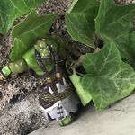Chris Wyant - @vhsl8l - Instagram