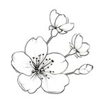 Chris.Yeong - @c.yeong.art - Instagram