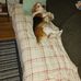 Chris Yingling - Facebook