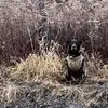 chris Yoder - @chris_7562 - TikTok
