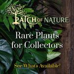 Chris Yoder - @patchofnature - Instagram
