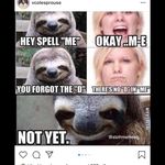 Chris Yoder - @yoder5019 - Instagram