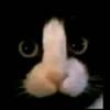 Chris - @yoe.chris - TikTok