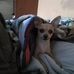 Chris Yon - Facebook
