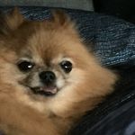 섹힙이 - @chris_yu_n - Instagram