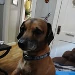 Chris Zahner - @zahnerchris - Instagram