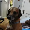 Chris Zahner - @chris.zahner2 - TikTok