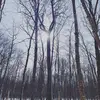 Christopher Zahner - @christopherzahner - TikTok