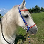 Stacey Hites Shipman - @chriszangel0904 - Instagram