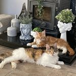 Chrissie Smith - @chrissie6494 - Instagram