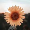Chrissyabel - @chrissyabel_ - TikTok