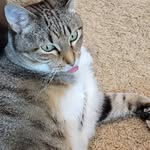 Christi Conner - @ionazengirl - Instagram