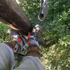 Chris Dodson - @chrisdodson8 - TikTok
